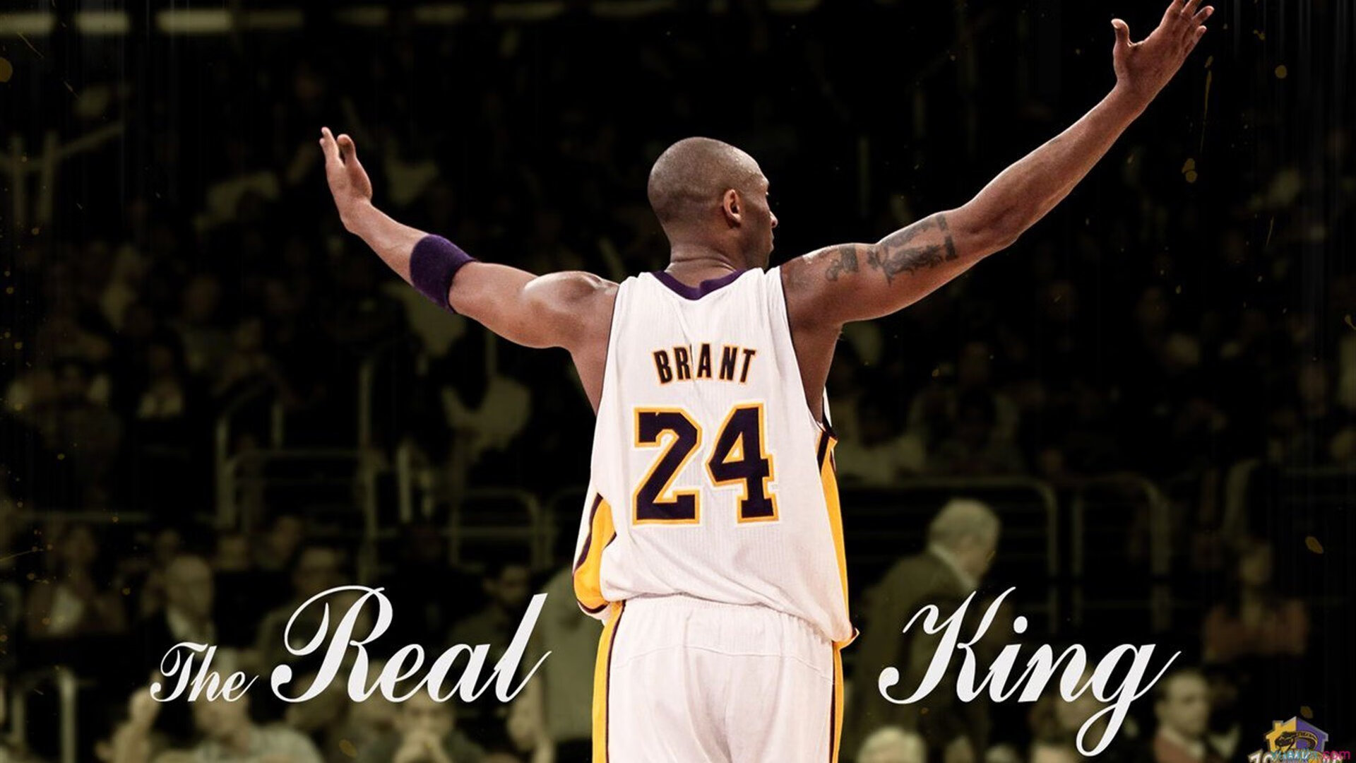 “雪域狂飙：冰雪赛段的速度传奇”，雪域狂风